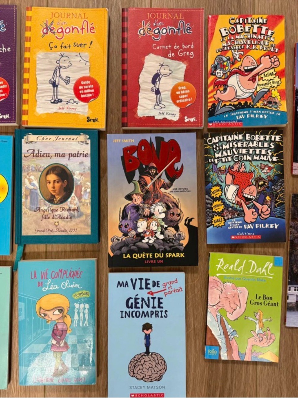 French Kid’s Book Lot: Diary of a Wimpy Kid,Raina Telgemeier,Captain Underpants+